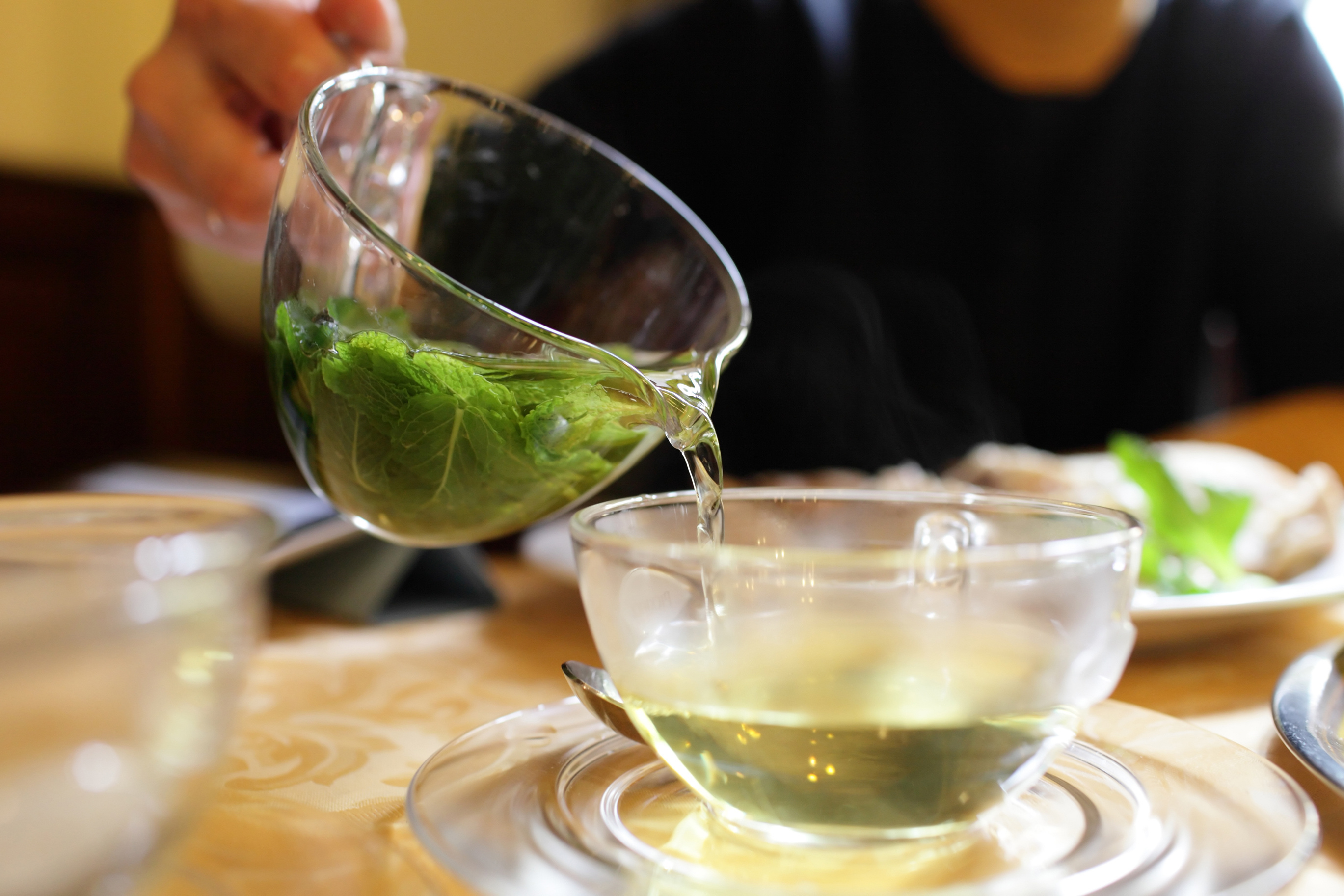 Tribe Takes On A TikTok Trend — CBD Romaine Lettuce Tea