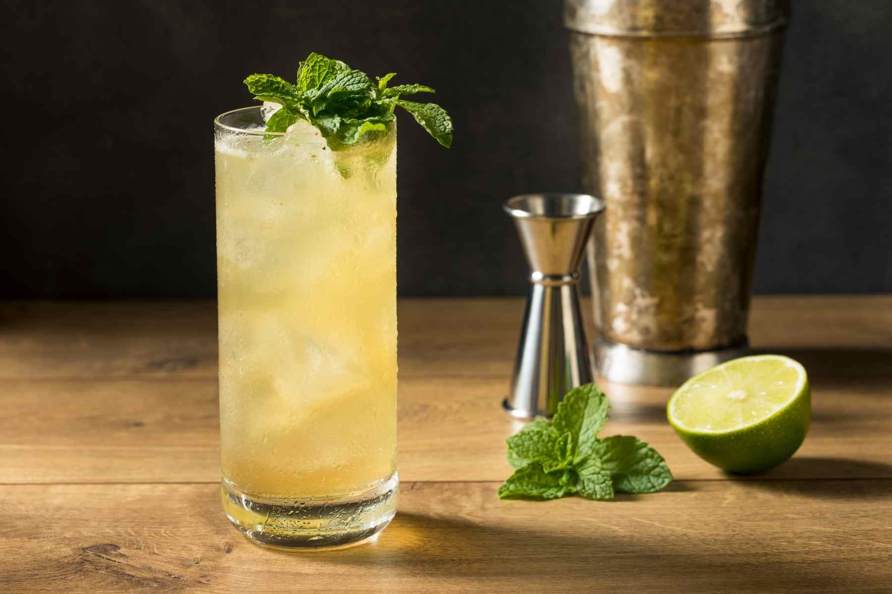 A Gin Drink For Non-Gin Drinkers — Tribe’s CBD Gin Gin Mule Recipe